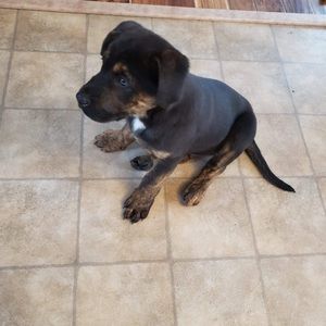 Meet your Posher, Roberta